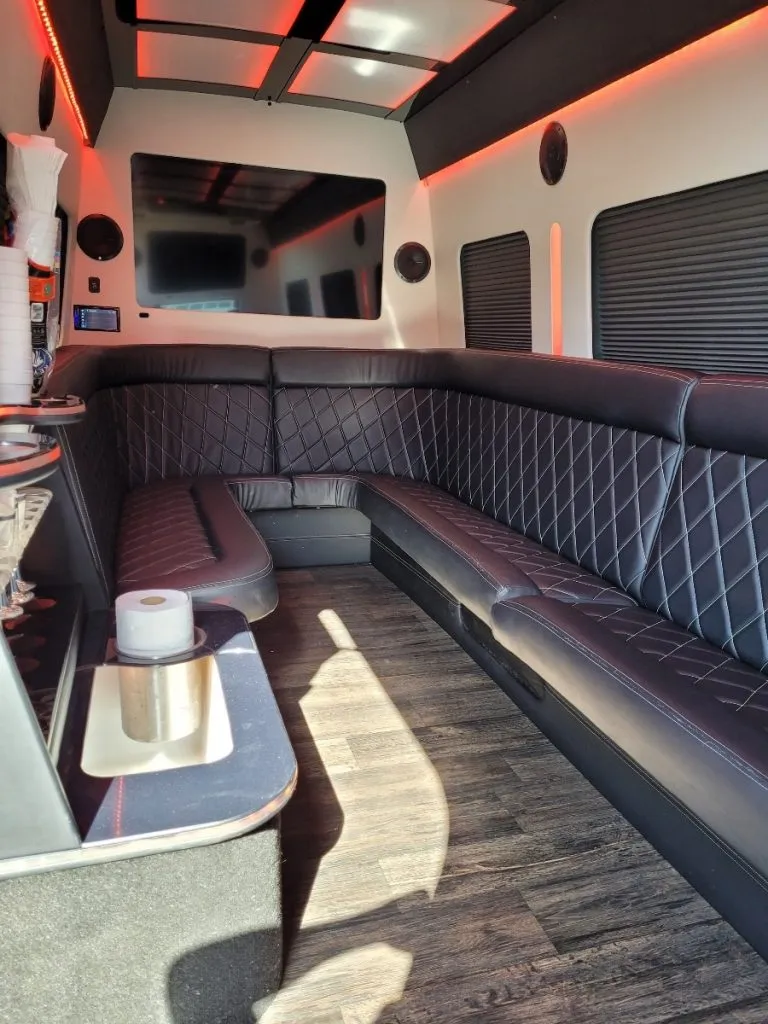 Black 12 Passenger Mercedes-Benz Party Bus, photo 5 for party bus rental