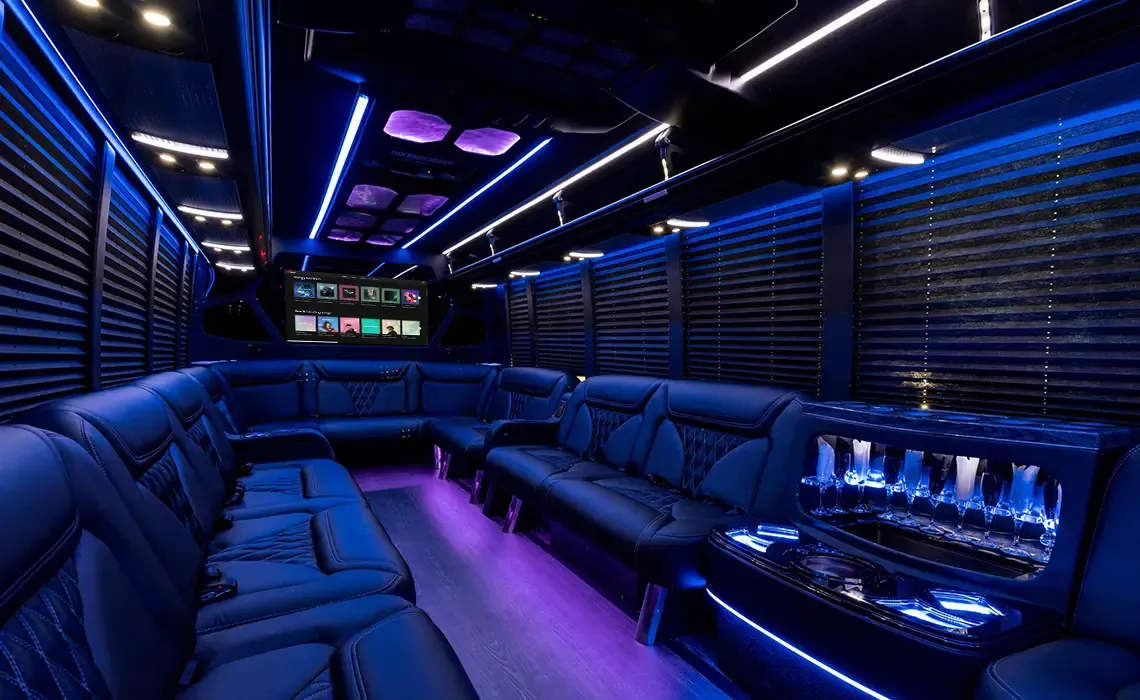 18 Passenger Party Bus for party bus rental