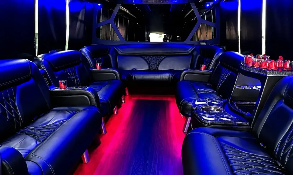 White 18 Passenger Party Bus White 18 Passenger Party Bus for party bus rental
