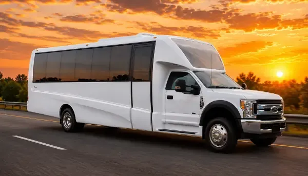 18 Passenger Party Bus White 18 Passenger Party Bus offered for party bus rental