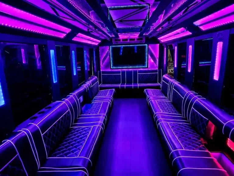 White 20 Passenger Party Bus no. 2