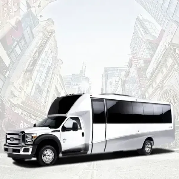 20 Passenger Party Bus 20 Passenger Party Bus offered for party bus rental