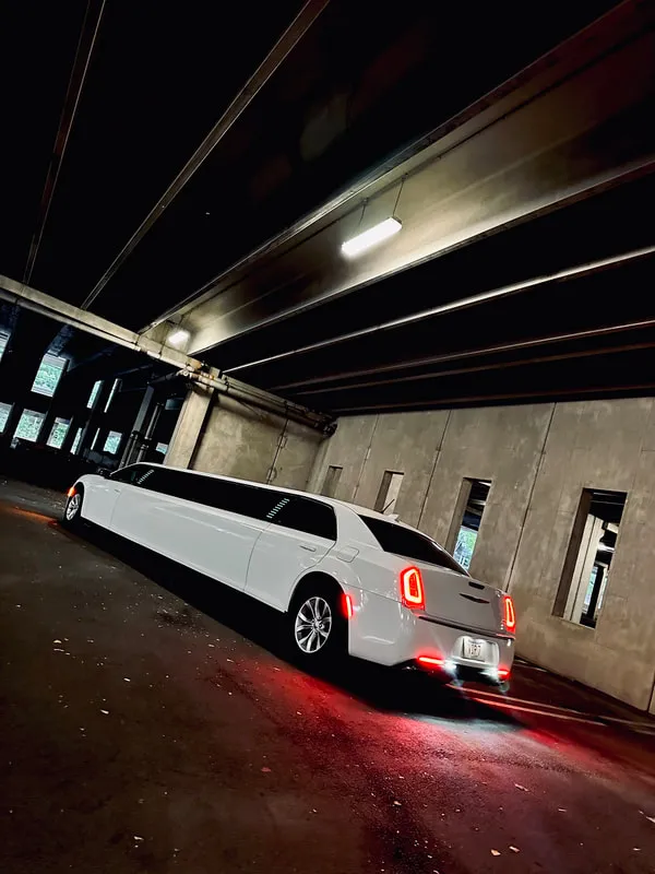 White Chrysler 300 Jet Doors exterior shot no. 9