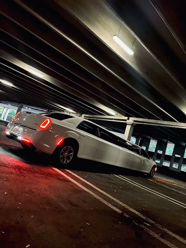 White Chrysler 300 Jet Doors exterior shot no. 10