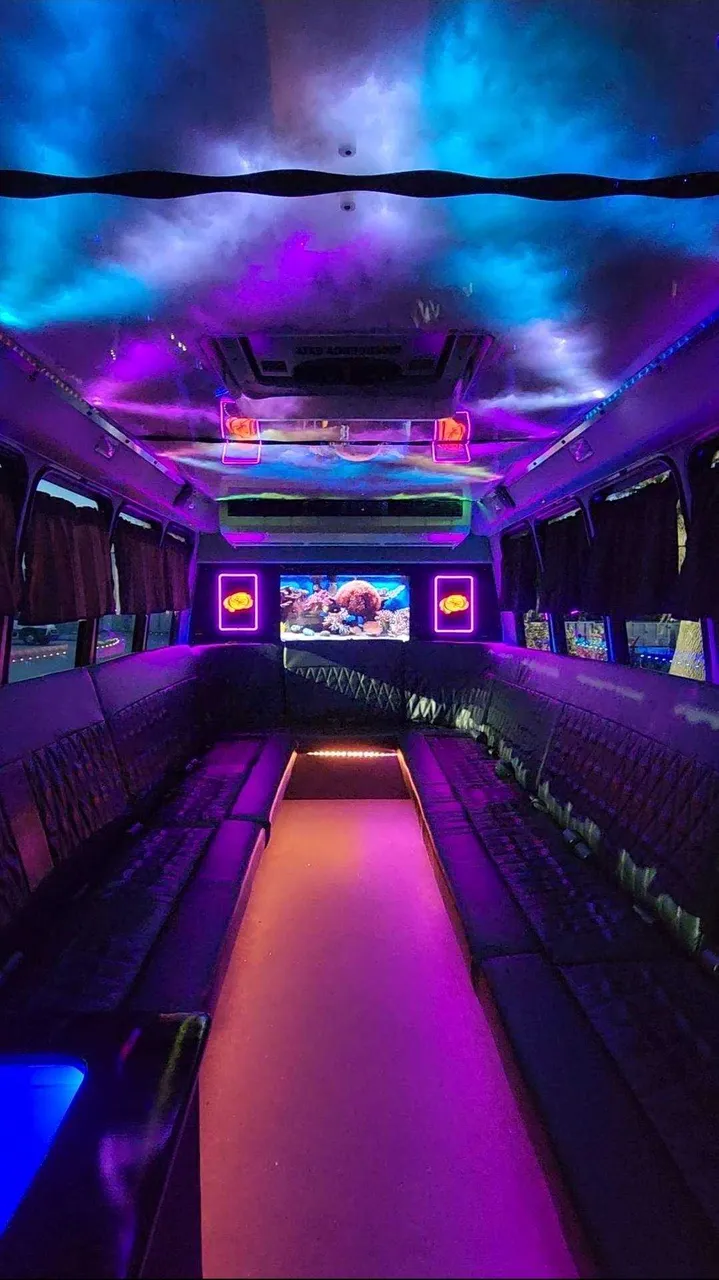 Dark Shadow /2019 ( 20 Passenger Luxury Party Bus interior, photo 2 for party bus rental Dark Shadow /2019 ( 20 Passenger Luxury Party Bus interior, photo 2 for party bus rental