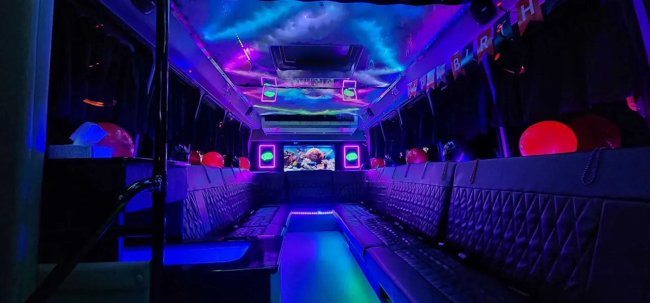 20 Passenger Luxury Party Bus interior for party bus rental 20 Passenger Luxury Party Bus interior for party bus rental
