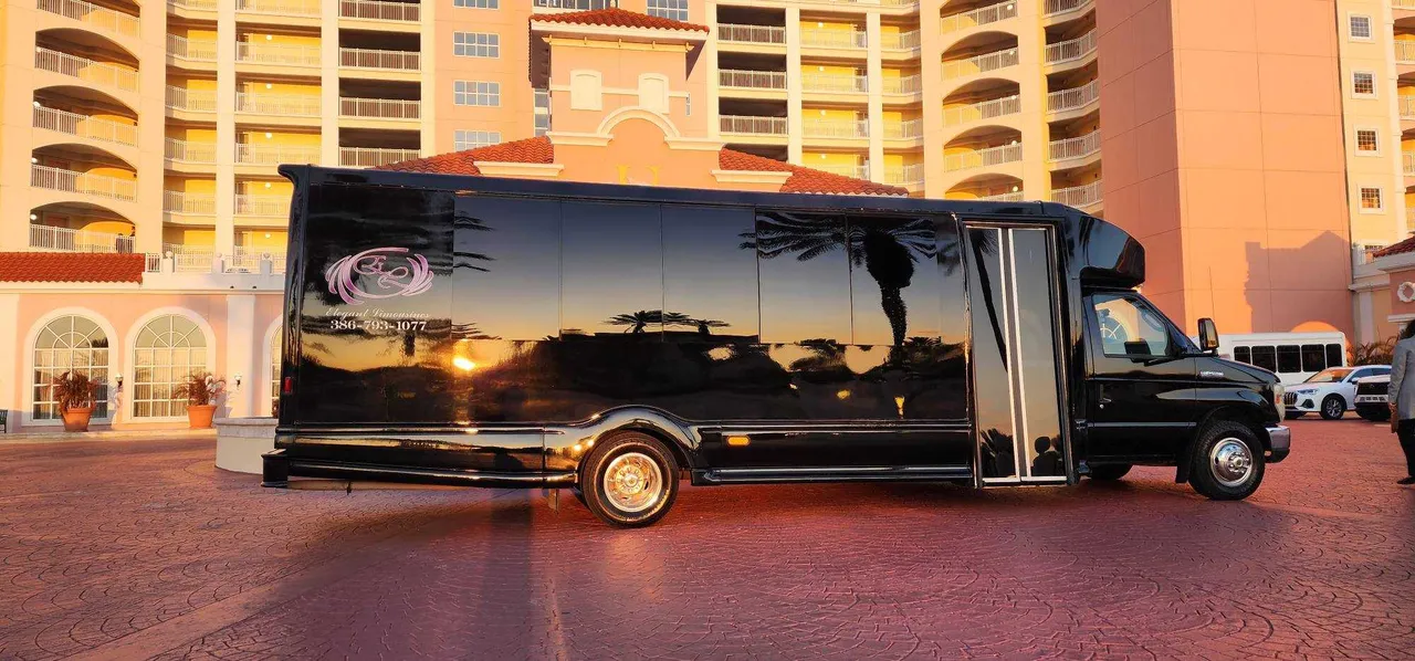 Black Dark Shadow /2019 ( 20 Passenger Luxury Party Bus exterior, photo 4 for party bus rental Black Dark Shadow /2019 ( 20 Passenger Luxury Party Bus exterior, photo 4 for party bus rental