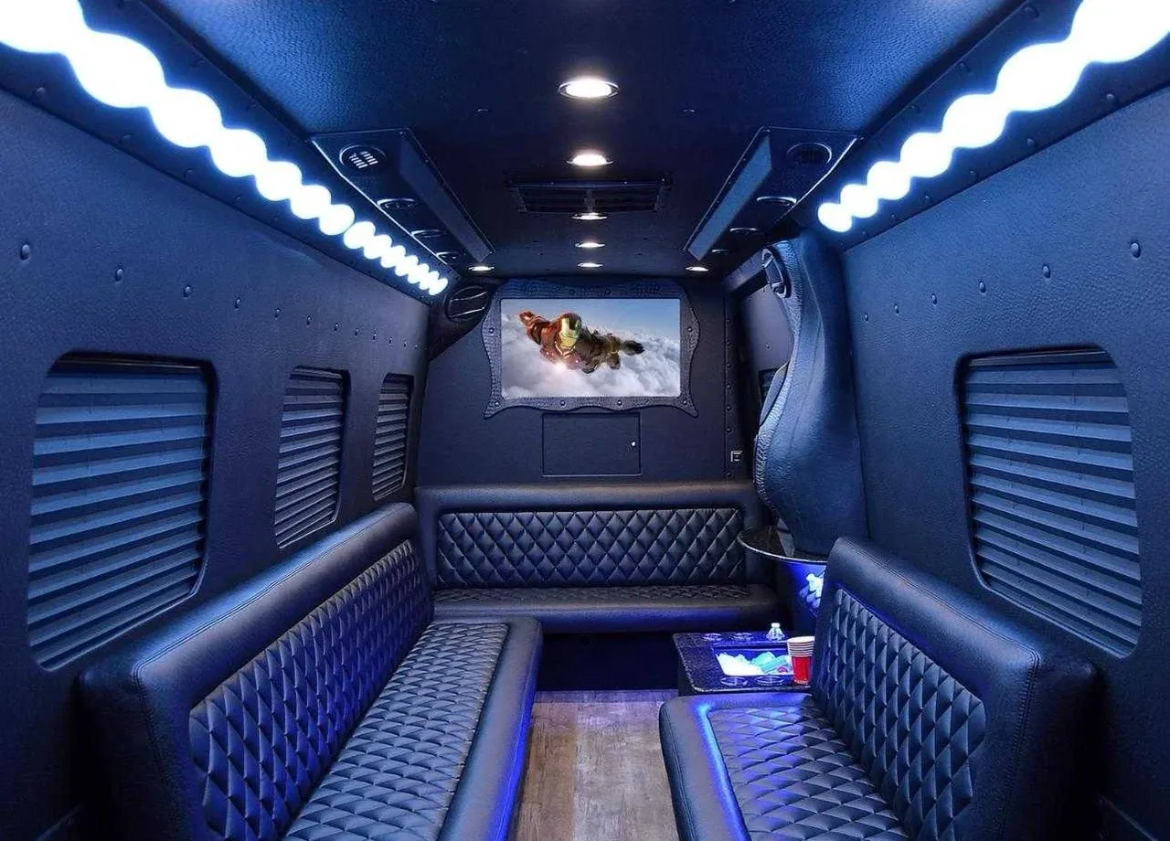 Black Mercedes-Benz Limousine Coach no. 2