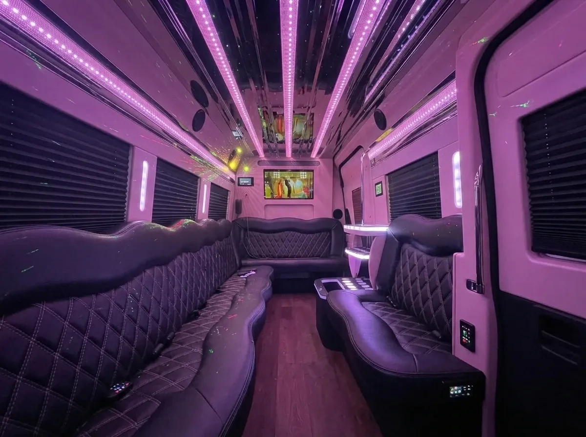 Black Mercedes-Benz Sprinter Limousine no. 3