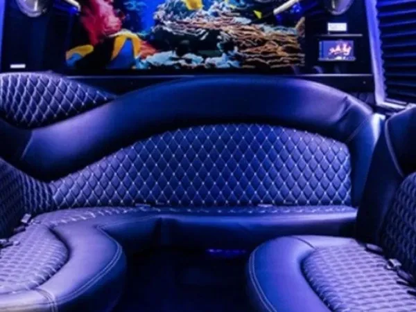 Mercedes-Benz Sprinter Limousine offered for party bus rental