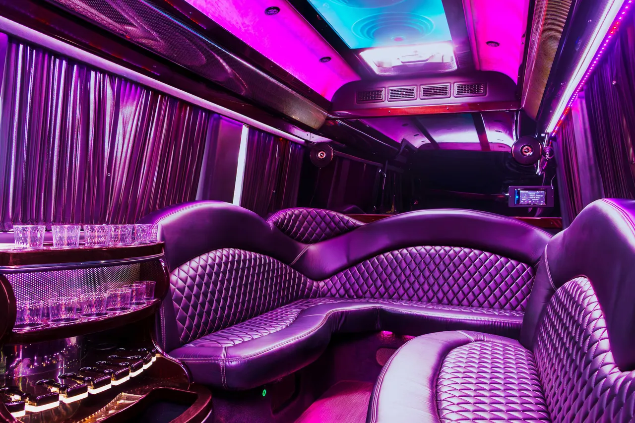 Mercedes-Benz Sprinter Limousine interior with sofa-style seating, window shades and LED ceiling lighting for party bus rental