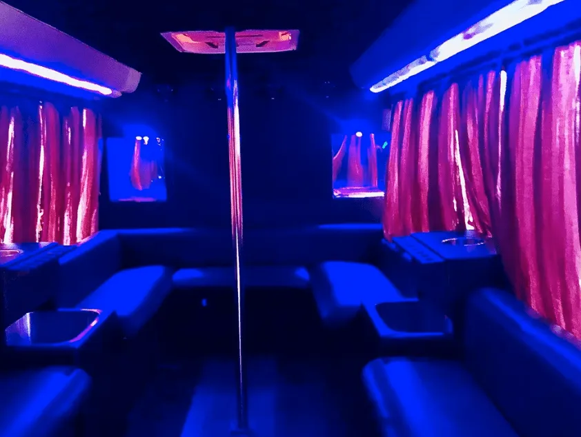 16 Passenger Party Bus interior with perimeter lounge seating, window shades and dance pole for party bus rental in Madera County, CA 16 Passenger Party Bus interior with perimeter lounge seating, window shades and dance pole for party bus rental in Madera County, CA