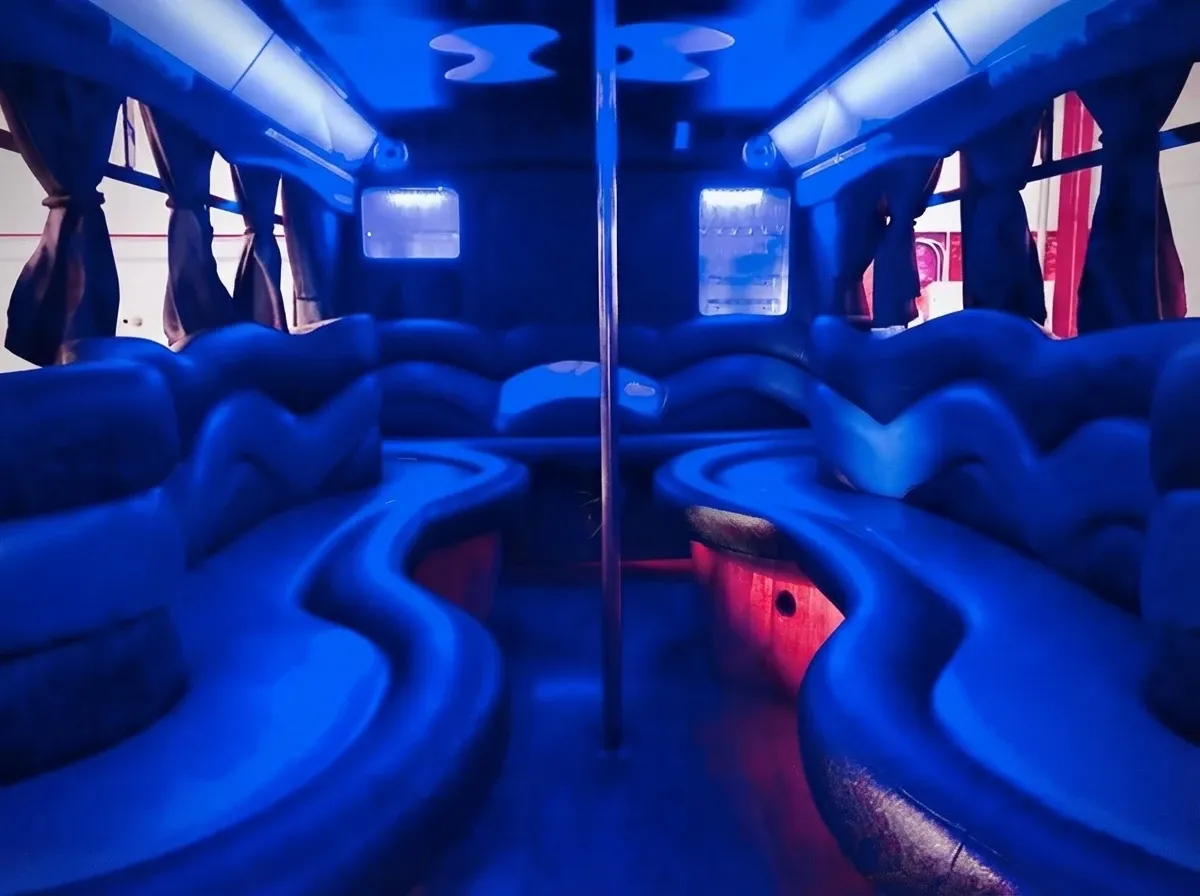 Black 18 Passenger Party Bus no. 2