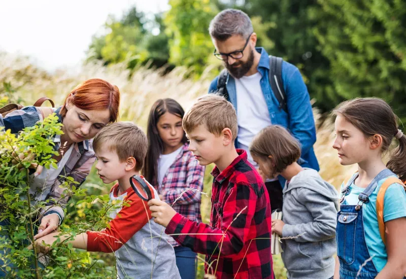 School Trips in Mapleton