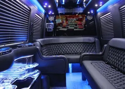 Mercedes-Benz Sprinter Limousine interior, photo 2 for limo rental in Kingsford, MI Mercedes-Benz Sprinter Limousine interior, photo 2 for limo rental in Kingsford, MI